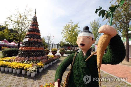 홍천 인삼·한우 명품축제 15일부터 온라인 할인 행사