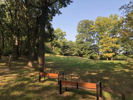 가을 분위기 물씬…조선왕릉 숲길 5곳 추가 개방