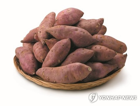 우리 땅에 고구마가 처음 들어온 사연은?