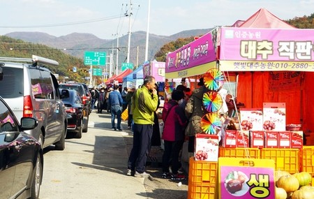 '역시 보은 대추'…온라인축제에도 판매액 43억여원