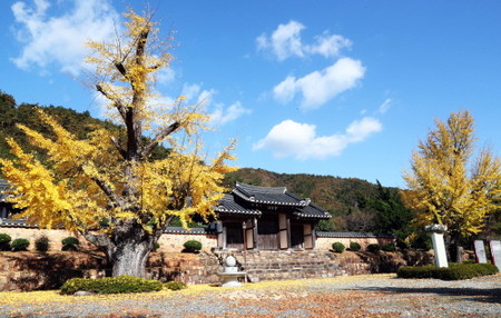 장흥 강성서원에 내려앉은 깊은 가을