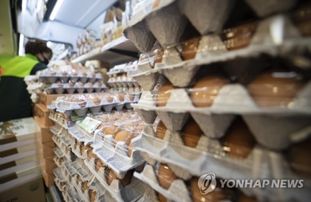 시중 달걀 품질 보니…"3분의 1은 가장 낮은 2등급"(종합)