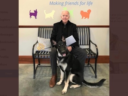 백악관에 '퍼스트 펫' 귀환…입양 유기견 '메이저'가 주인공