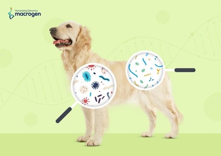 마크로젠, 반려견 마이크로바이옴 빅데이터 구축 나서