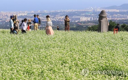 [위기의 제주관광] ② 제주의 자연·음식에 스토리를 입혀라