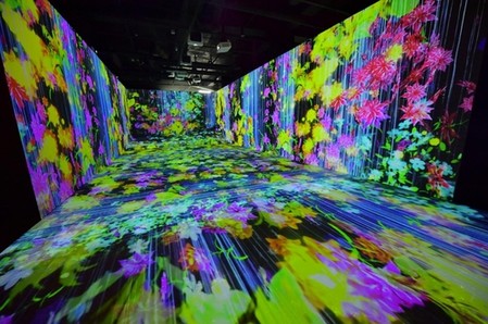 '화려한 빛의 영상미'…순창 발효소스토굴에 미디어관 구축