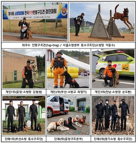 올해 최고 인명구조견은 서울소방재난본부 '비호'