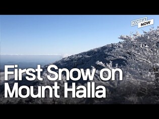 'Frozen' in Korea? First snow of winter falls on Halla Mountain in Jeju