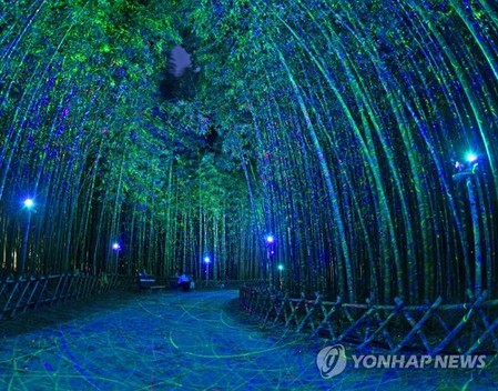 태화강 십리대숲에 경관조명 설치…울산시·동서발전 업무협약