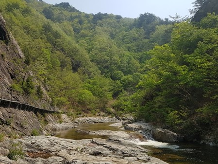 '삼척 덕풍계곡과 산림철도' 등 12곳 국가 산림문화자산 지정