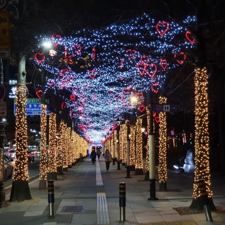 대구광역시, 희망의 불빛으로 물들다