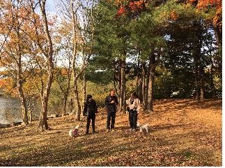 [게시판] 서울대공원 '동물원 속 미술관' 온라인 공개