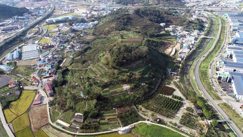 '김해 유하동 유적을 본 금관가야' 학술대회…10일 온라인 개최