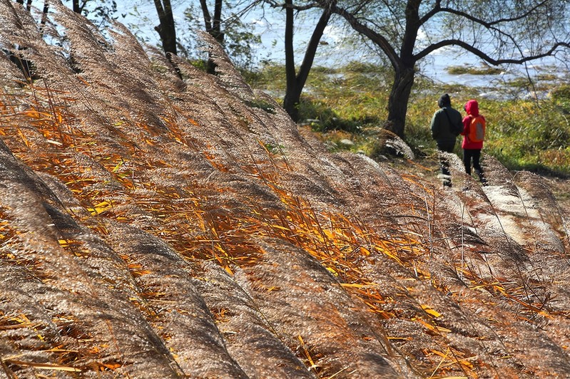 [걷고 싶은 길] 남한강 정취 속으로…양평 물소리길