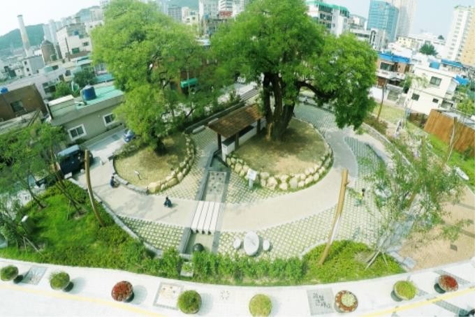 부산 1·2호 국가산림문화자산 탄생…회화나무·외양포 말길