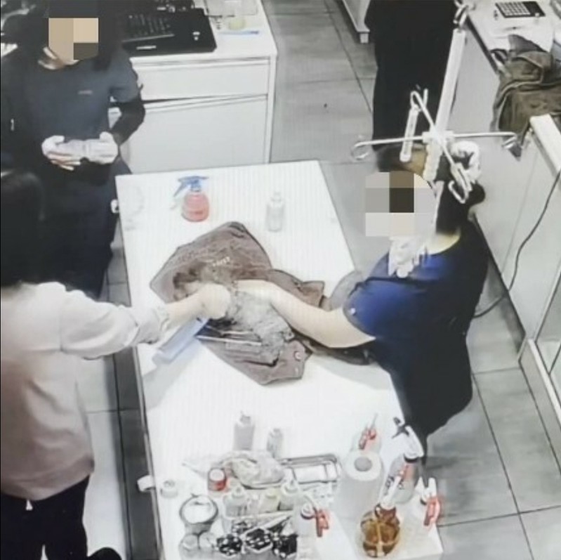 광주 남구, 강아지에 탈취제 뿌린 동물병원 고발