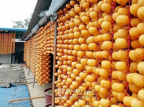'완주 곶감축제' 비대면 진행…15일부터 운주농협 쇼핑몰서 판매