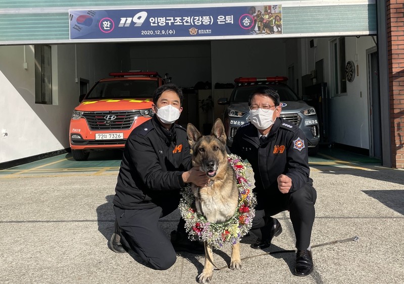 인명구조견 '강풍' 은퇴…6년간 150회 출동·6명 구조