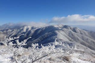 [픽! 단양] 설경 연출한 소백산 연화봉