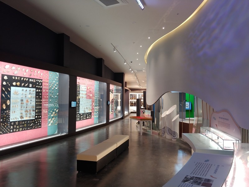 세계조개박물관, 신안군 1호 공립박물관 등록