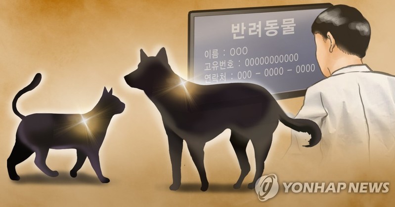 허울뿐인 부산시 장애인 반려동물 진료비 지원정책