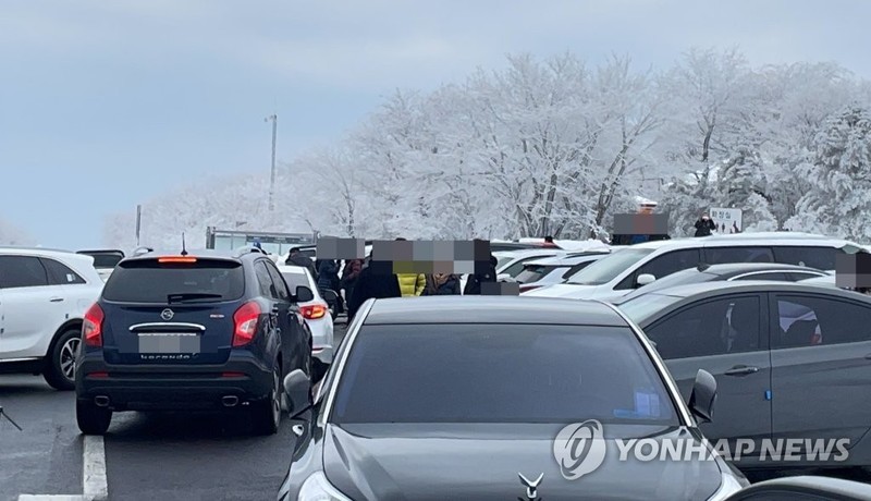 '거리두기 나몰라라' 제주 1100고지 습지 연일 북적