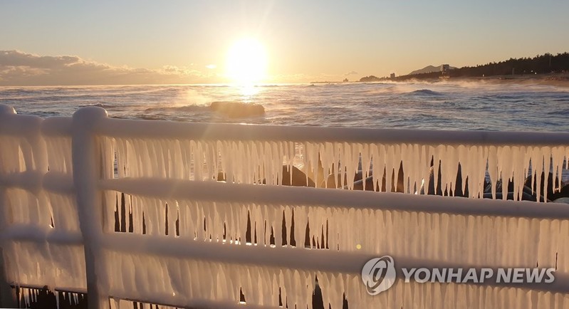 '이럴 땐 집이 최고'…한파·코로나 영향에 전국 관광지 한산