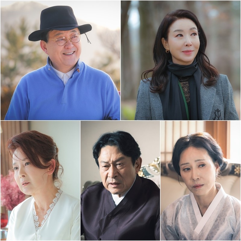 노주현·김보연, 임성한 작가 '결혼작사 이혼작곡' 합류