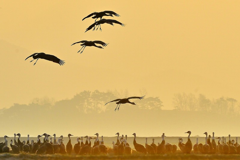 서산 천수만 철새도래지, 환경부 생태관광지역 재지정