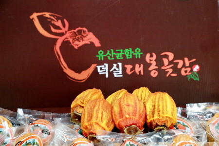 쫄깃쫄깃 달달한 '의령덕실대봉곶감' 인기