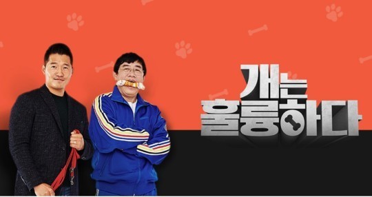 '개훌륭' 출연료 미지급에 녹화 취소…"방송은 차질 없어"