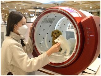 부산 롯데백화점 '펫팸족' 겨냥 마케팅 확대