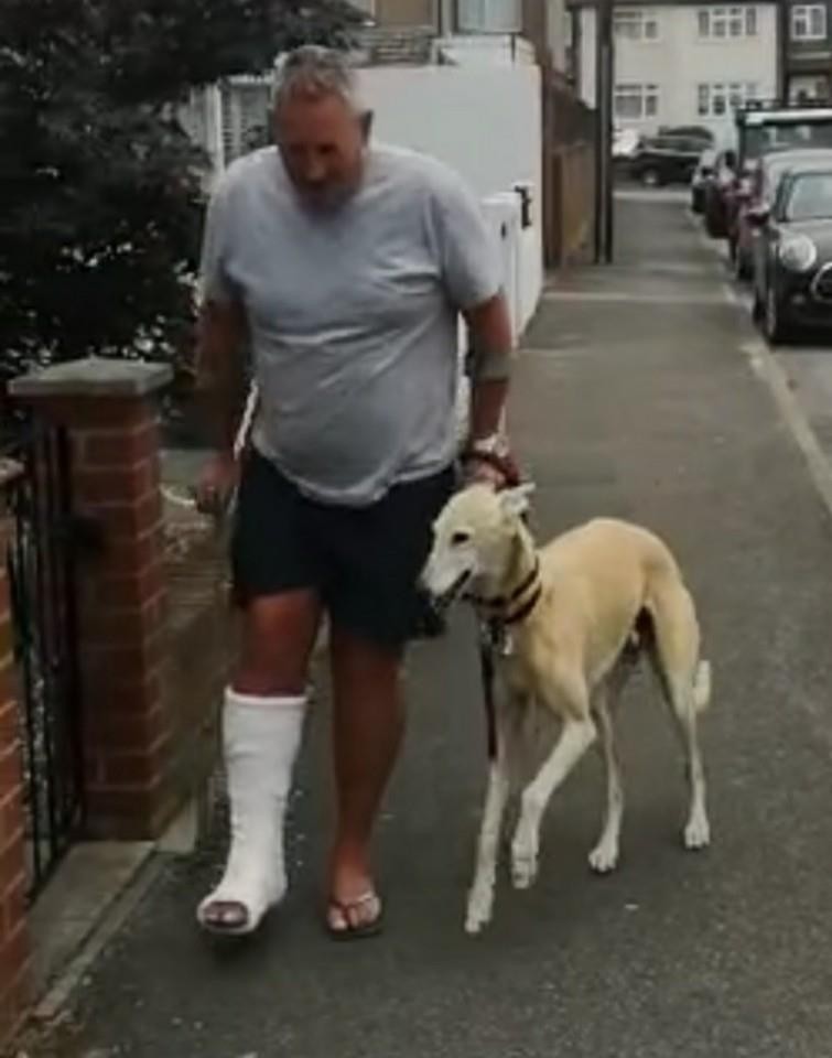 아픔도 같이…목발 짚은 주인 따라 다리 저는 반려견