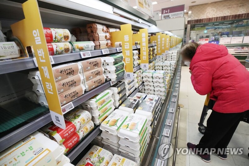 S. Korea investigating suspected case of bird flu, caseload reaches 67
