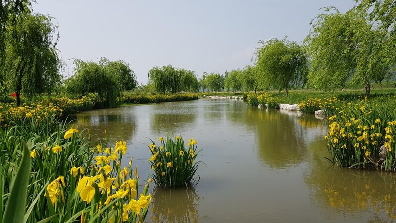 '거창창포원' 경남도 제1호 지방정원 됐다
