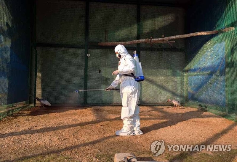 "우포따오기 지켜라"…창녕군 24시간 AI 비상 근무 돌입