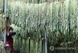 [Hallyupedia] Siraegi(시래기)