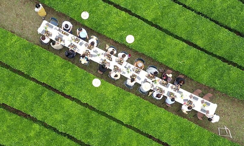 보성 생태녹색 관광콘텐츠 개발…지역특화 공모사업 선정