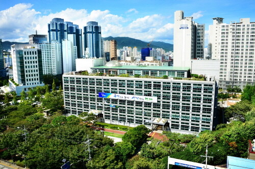 부산 연제구, 반려 고양이 동물등록 시범사업 실시