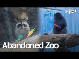 Abandoned and starving zoo animals kept alive by local neighbors