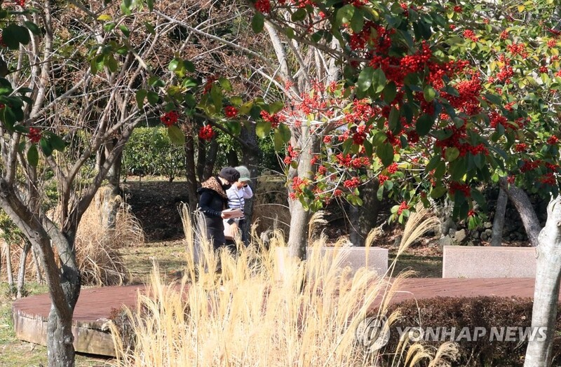 [내주날씨] 가끔 흐리고 비교적 포근…설날 낮 기온 7∼15도