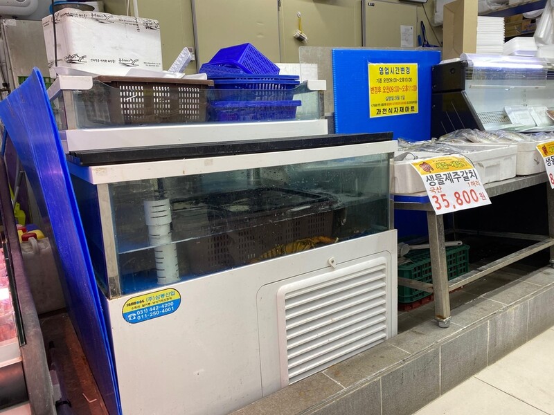 경기도, 설 제수·선물용품 원산지표시 위반 8곳 적발