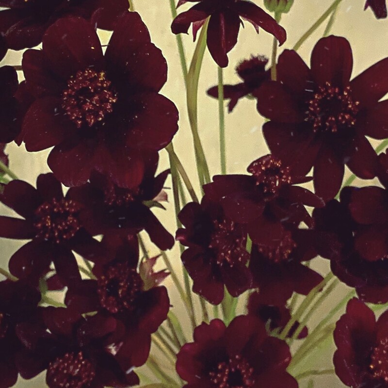 디어클라우드, 이별감성 리메이크 싱글 '안녕 그대 안녕'