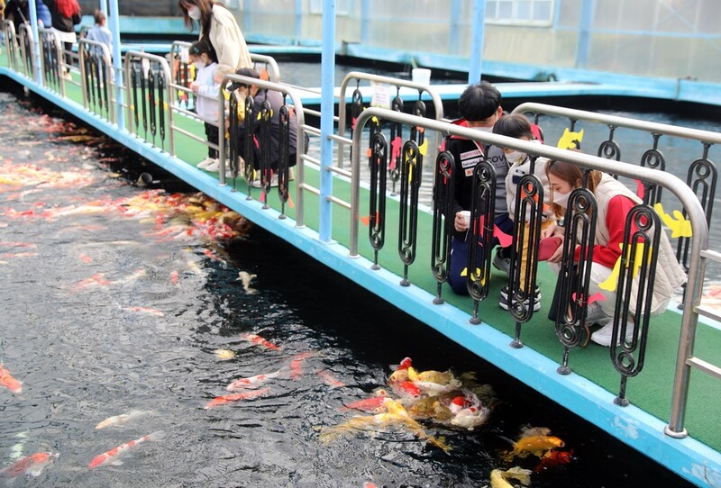 선물 주고 입장료 할인…세종·태안 수목원 설 이벤트 풍성