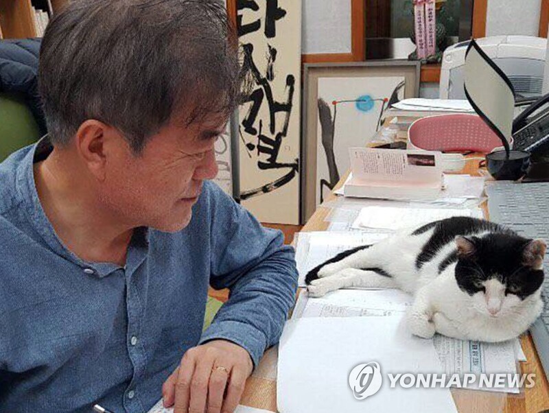 문대통령, 반려동물 근황 소개…"나이 많아 활동줄어 안쓰럽다"