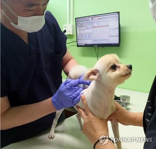 전주시, 유기동물 입양하면 치료·미용비 15만원 지원