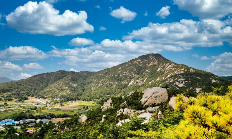 "더 많은 관광객 유치"…충남 서해안 자연휴양림 조성 붐