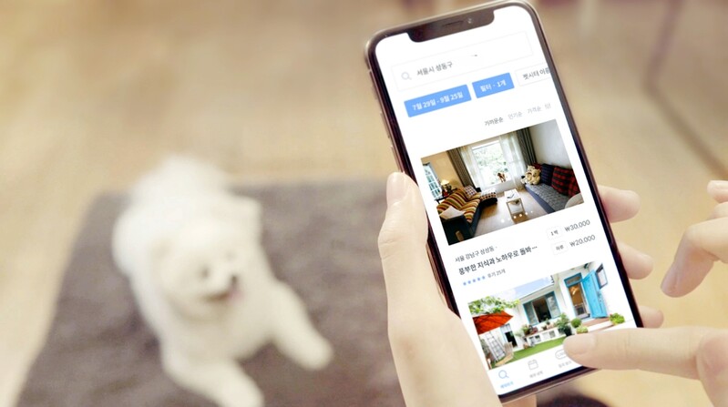 서울시, 중장년 일자리 '반려견 돌봄전문가' 모집