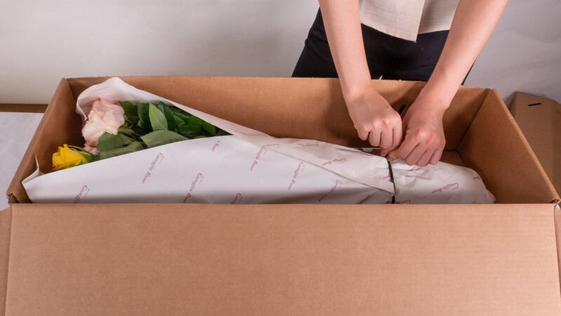 강진군, 코로나19 극복 화훼농가 돕기 온라인 특별기획전