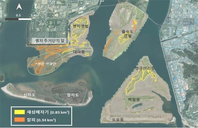 천연기념물 낙동강 하구 지형·식생변화 드론으로 관찰